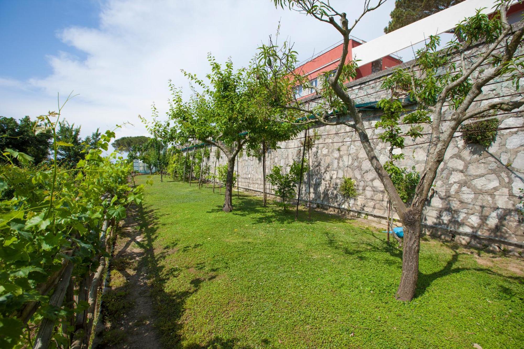 Villa Mambrini Sorrent Exterior foto